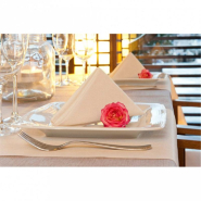 Serviette intissé crème 2 faces effet tissu 40x40cm - par 600_1