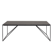 Table basse rectangulaire DILA 120 x 60 cm - pieds métal contemporains, MDF plaqué chêne_1