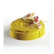 Vase - Moules en silicone Pavocake Pavoni Italia - Lot de 6 avec plateau_1