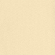 Tête-à-tête maxi pré-découpé 120cm intissé ivoire 0,50x24m - par 6_1