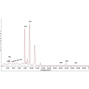 Prestation d'analyse - Mesures par microfluorescence X - Taille de spot 20 à 300µm et quantification des éléments métalliques_1