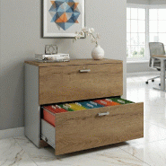 Classeur de Bureau Compact : Rangement Professionnel 2 Tiroirs pour Dossiers Suspendus - 80, Gris aluminium, Chêne veiné_1