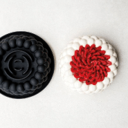 Nuage - Moule en silicone Cédric Grolet Pavoni Italia - 3D Pavocake_1