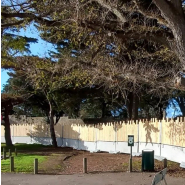 Palissade en bois vertical conçue pour les professionnels du bâtiment, des travaux publics, des collectivités_1