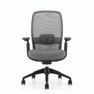 Fauteuil ergonomique synchrone avec accoudoirs iris - avec têtière_1