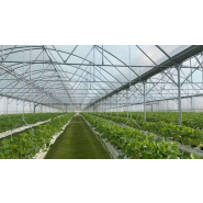 Serre à travées multiples conçue pour la couverture de vastes surfaces - Multimed_1