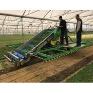 Récolteuse Slide Crab Valeriana - Hortech SRL - 1000/1200 kg - système hydraulique 4 roues directrices_1