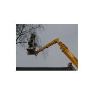 Bras télescopique triple avec extension JIB pivotante à 130° pour travaux polyvalents