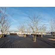 Bambou Moso - lames de terrasses - FPBois - hauteur 1850mm - Bamboo X-treme®_1