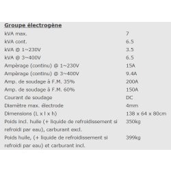 EPS230DXE - 951012305 - Groupe électrogène industriel Europower - moteur essence et diesel, 3000tpm, 50Hz, 4 temps
