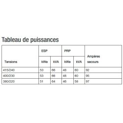 K66 groupes électrogènes industriel - sdmo - tension de référence (v) 400/230