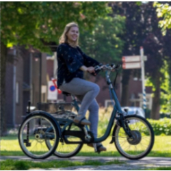 Tricycle Maxi Van Raam - Tricycle Individuel avec Options Personnalisables