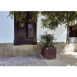 Jardinière Olea UM1220 - en tôle d’acier Corten, durable et sans entretien