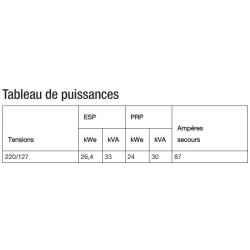 J33_220 - Groupe électrogène industriel SDMO - Tension 220/127 V - Coffret standard APM303 - Moteur John Deere 3029DSG20