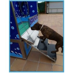 Dog-wash pg5