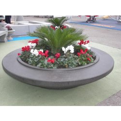 Jardinière Dish en béton pour créer des volumes verts - MG-DISH