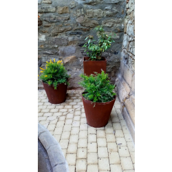 Jardinière en béton Malva CO50 - CO60 - CO80 - CO4080 - CO50110 - PI50 - PI90 - PI6025 - PI8040 - PI9840