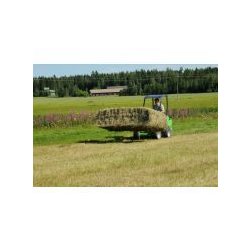 A410224 pic bottes agriculture et élevage de chevaux - avant tecno - 1220 mm