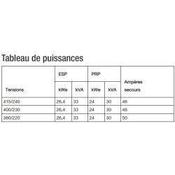 J33 groupes électrogènes industriel - sdmo - tension de référence (v)400/230