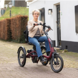 Tricycle Easy Rider Compact Vanraam - Tricycle compact facile à utiliser pour adultes de petite taille et enfants de grande taille