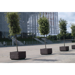 Jardinière GAR UM1480 - plastique recyclé Rebnew - résistante et écologique