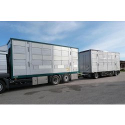 RBA21 - Remorque Bétaillère Carrozzeria Pezzaioli - Essieux jumelés fixes 10 000 kg, aluminium anticorrosion, 2 à 4 niveaux de chargement