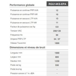 Dynamic RGU14KS-EPA - Groupe électrogène industriel capoté insonorisé Genmac - PRP 12 kVA