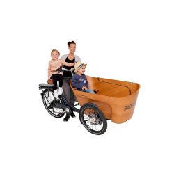 Triporteur électrique Babboe Carve-E - Banc pour 4 enfants - Moteur GWA 36V 250W - Dérailleur Shimano 7 vitesses