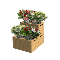Expositeur fleur - Présentoir pour fleurs avec pots - Montage facile et plusieurs couleurs
