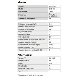 Groupe électrogène Inmesol AL 1000-E - 11kVA - châssis tubulaire stable