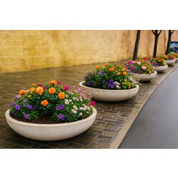 Jardinière en béton vasque (1035)