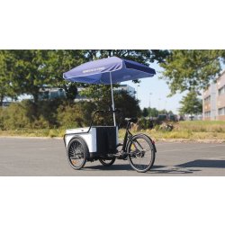 Triporteur électrique Urban Rider Pro - Moteur BAFANG Max M400 - Caisse HDPE 100 kg