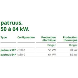 Patruus - Groupe électrogène industriel 50 à 64 kW - 2G Énergie SAS - Technologie robuste et modulaire