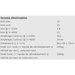 Epg12000te - 950001208 - Groupe électrogène industriel semi-insonorisé - Europower - moteur Honda 3000tpm, 50Hz, 4 temps