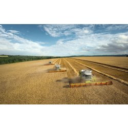 Moissonneuse-batteuse CLAAS Lexion 780-740 - Trémie 12800L - APS Hybrid System