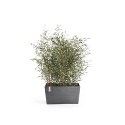 Jardinière Paris 100 gris - 170 L - 99 x 46 x H. 50 cm