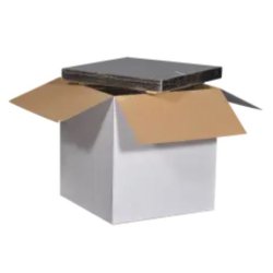 Caisse de transport isotherme - durable et fiable pour secteurs alimentaire et médical - maintien des articles thermosensibles