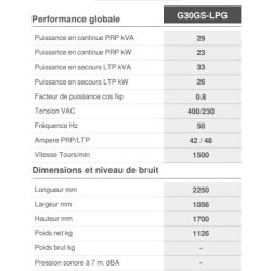 G30GS-LPG (50Hz) - Groupe électrogène industriel insonorisé Genmac - Puissance continue PRP 23 kW