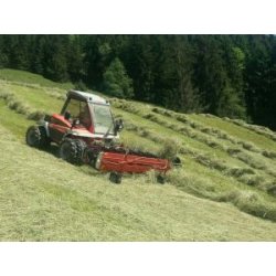 300 pro - râteaux andaineurs frontales pour tracteurs - molon giovanni - 2,8 m