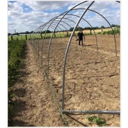 Magnum - Serre tunnel professionnelle Natural - largeur 4m, structure renforcée pour cultures sur ficelles