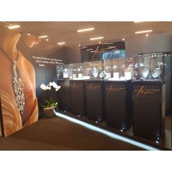 Vitrine cloche sur socle noir l 50 p 50 h 150 cm avec porte battante sécurisée