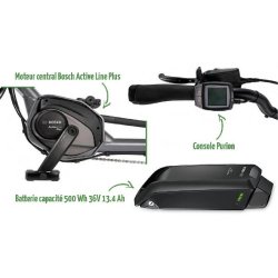 Tricycle électrique Scoobo - assistance Bosch Active Plus - 7 vitesses Nexus - Pfautec