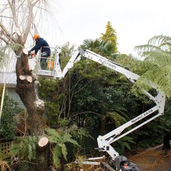 Nacelle araignée sur chenille robuste et fiable - Spider 15.75 - Hauteur de travail 15m - Portée 7.4m - Diesel ou hybride