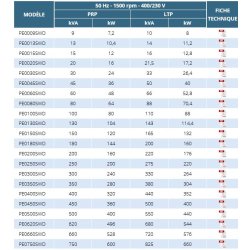 PE0 - Groupes électrogènes industriels Ausonia - moteur Perkins de 9 à 750 kVA