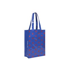 Sac réutilisable en cuir - cuir miroir PVC - dimensions 30x40x15cm - Réf : FRABHVDP