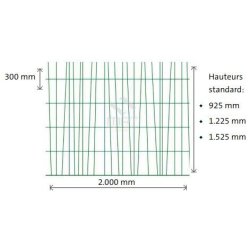Clôture grillagée Exotic - MRT - hauteur 925 à 1525 mm - fil galvanisé plastifié Ø 5,00 mm