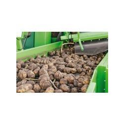 Arracheuse de pommes de terre Spirit 6100 - AVR BVBA - déportée 1 rang - trémie 6 tonnes - puissance 66 kW