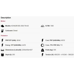 Gen44KC-IN groupes électrogènes industriel - Genesal Energy - Statique insonorisé - 40/44 kVA - 50 Hz - Trois phases