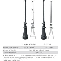 Mât d'éclairage public Vicomte - Fonte thermolaquée GL-250 avec zingage anticorrosion