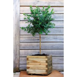 Bac carré Stockholm 50 - 65L - 50 x 50 x 43 cm en pin européen traité - épaisseur 4 cm